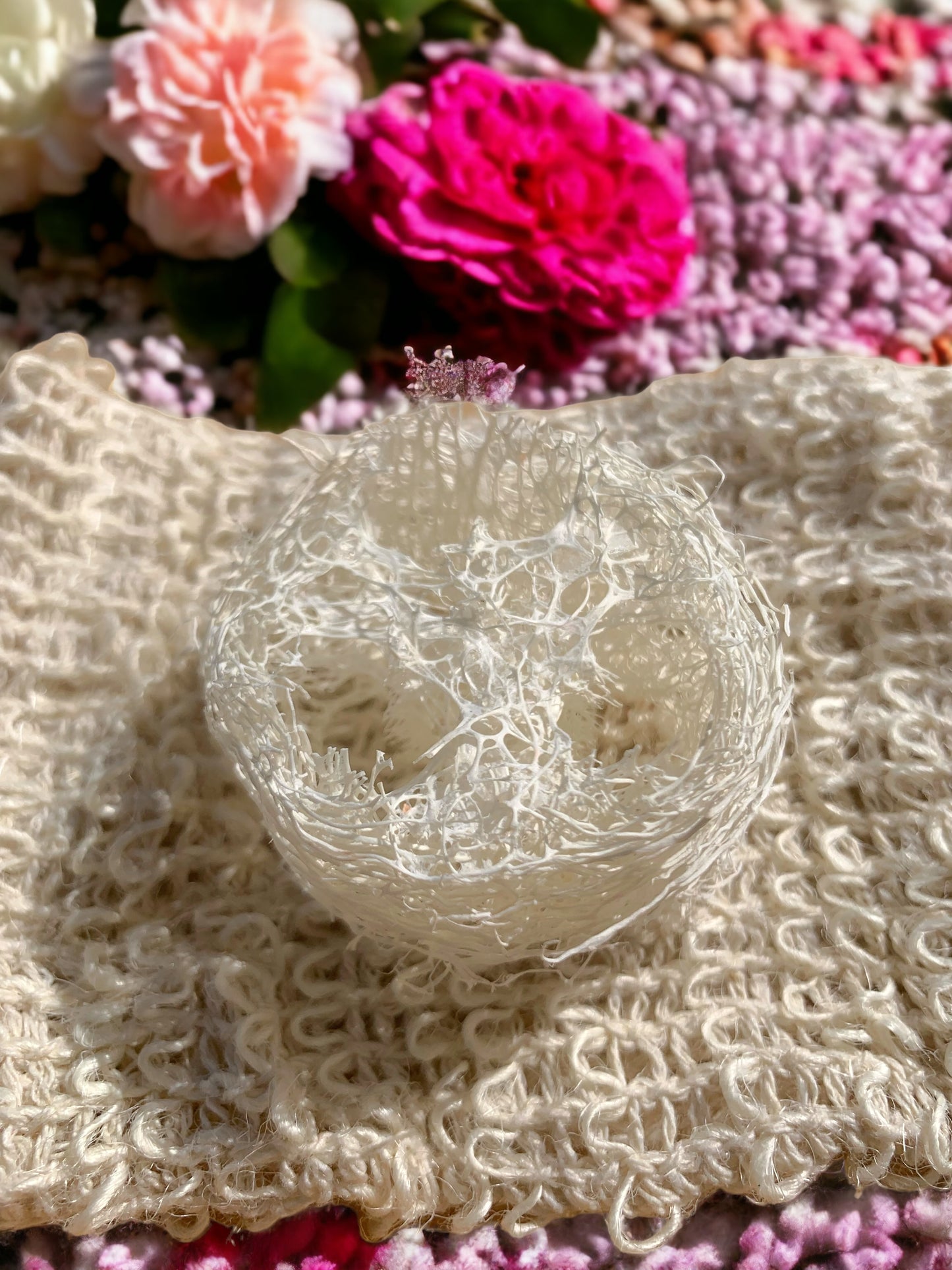 Mini Loofah
